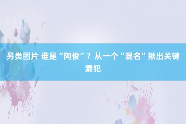 另类图片 谁是“阿俊”？从一个“混名”揪出关键漏犯