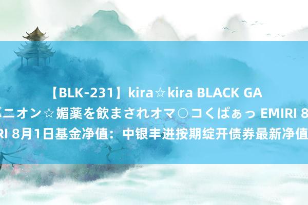 【BLK-231】kira☆kira BLACK GAL 黒ギャル中出し温泉コンパニオン☆媚薬を飲まされオマ○コくぱぁっ EMIRI 8月1日基金净值：中银丰进按期绽开债券最新净值1.0782，涨0.06%