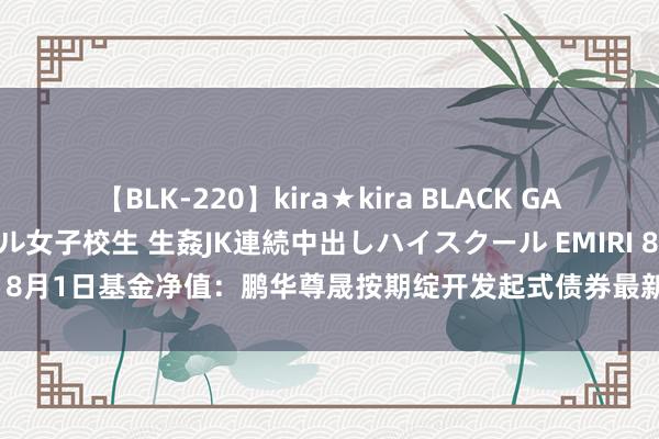 【BLK-220】kira★kira BLACK GAL 留年5年目のお姉黒ギャル女子校生 生姦JK連続中出しハイスクール EMIRI 8月1日基金净值：鹏华尊晟按期绽开发起式债券最新净值1.036，涨0.06%