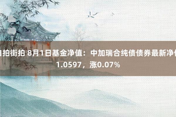 自拍街拍 8月1日基金净值：中加瑞合纯债债券最新净值1.0597，涨0.07%