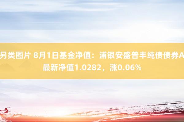 另类图片 8月1日基金净值：浦银安盛普丰纯债债券A最新净值1.0282，涨0.06%