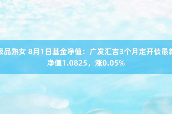 极品熟女 8月1日基金净值：广发汇吉3个月定开债最新净值1.0825，涨0.05%