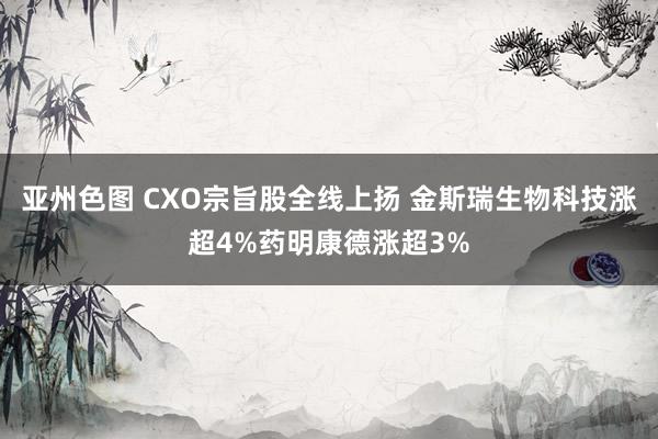 亚州色图 CXO宗旨股全线上扬 金斯瑞生物科技涨超4%药明康德涨超3%