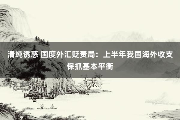 清纯诱惑 国度外汇贬责局：上半年我国海外收支保抓基本平衡