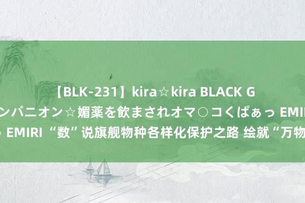 【BLK-231】kira☆kira BLACK GAL 黒ギャル中出し温泉コンパニオン☆媚薬を飲まされオマ○コくぱぁっ EMIRI “数”说旗舰物种各样化保护之路 绘就“万物共生”和洽新图景