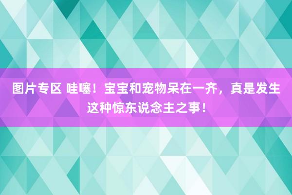 图片专区 哇噻！宝宝和宠物呆在一齐，真是发生这种惊东说念主之事！