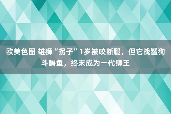 欧美色图 雄狮“拐子”1岁被咬断腿，但它战鬣狗斗鳄鱼，终末成为一代狮王