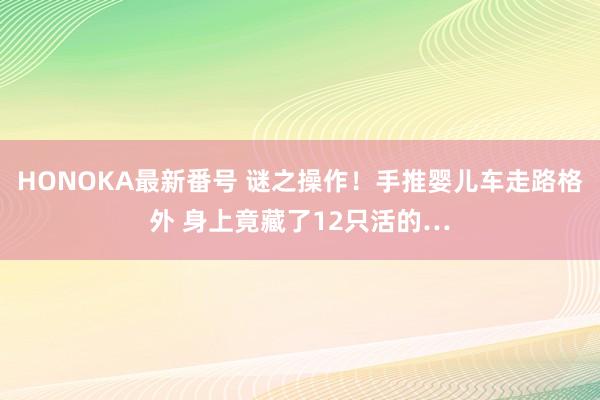 HONOKA最新番号 谜之操作！手推婴儿车走路格外 身上竟藏了12只活的…