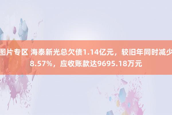 图片专区 海泰新光总欠债1.14亿元，较旧年同时减少8.57%，应收账款达9695.18万元