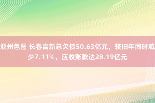 亚州色图 长春高新总欠债50.63亿元，较旧年同时减少7.11%，应收账款达28.19亿元