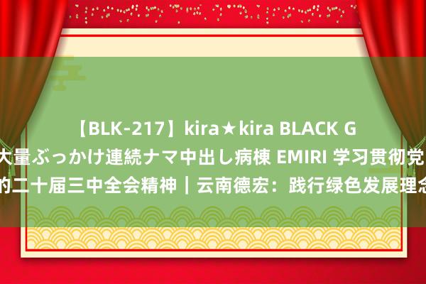 【BLK-217】kira★kira BLACK GAL黒ギャルご奉仕ナース 大量ぶっかけ連続ナマ中出し病棟 EMIRI 学习贯彻党的二十届三中全会精神｜云南德宏：践行绿色发展理念 共建生态好意思好家园