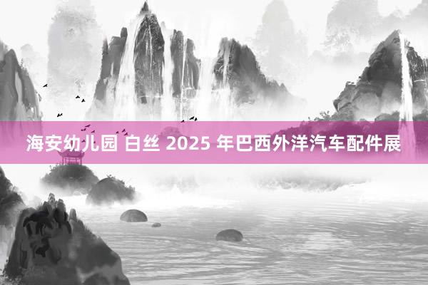 海安幼儿园 白丝 2025 年巴西外洋汽车配件展