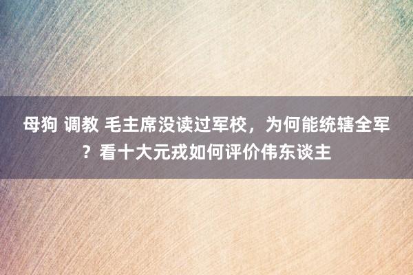 母狗 调教 毛主席没读过军校，为何能统辖全军？看十大元戎如何评价伟东谈主