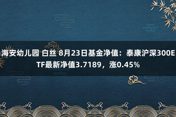 海安幼儿园 白丝 8月23日基金净值：泰康沪深300ETF最新净值3.7189，涨0.45%