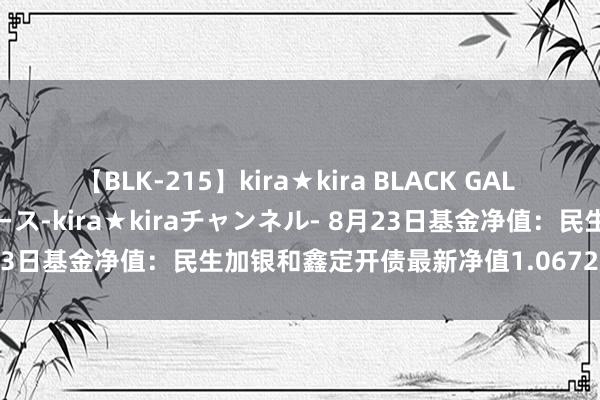 【BLK-215】kira★kira BLACK GAL 黒ギャル・EMIRIプロデュース-kira★kiraチャンネル- 8月23日基金净值：民生加银和鑫定开债最新净值1.0672，跌0.08%