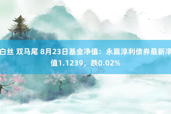 白丝 双马尾 8月23日基金净值：永赢淳利债券最新净值1.1239，跌0.02%