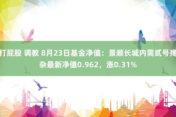 打屁股 调教 8月23日基金净值：景顺长城内需贰号搀杂最新净值0.962，涨0.31%