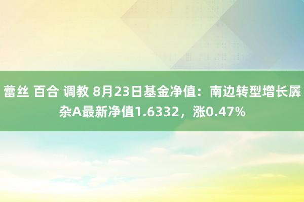 蕾丝 百合 调教 8月23日基金净值：南边转型增长羼杂A最新净值1.6332，涨0.47%