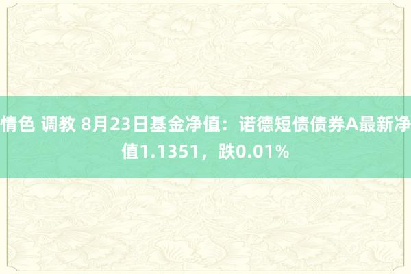 情色 调教 8月23日基金净值：诺德短债债券A最新净值1.1351，跌0.01%