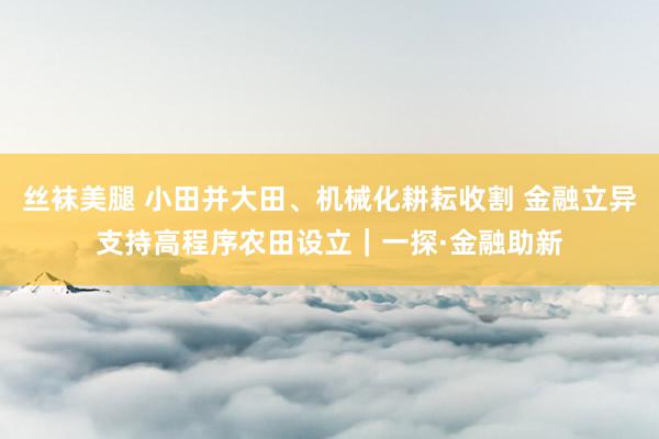 丝袜美腿 小田并大田、机械化耕耘收割 金融立异支持高程序农田设立｜一探·金融助新