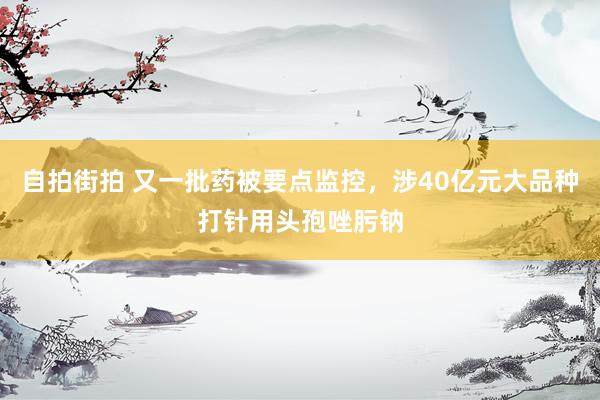 自拍街拍 又一批药被要点监控，涉40亿元大品种打针用头孢唑肟钠