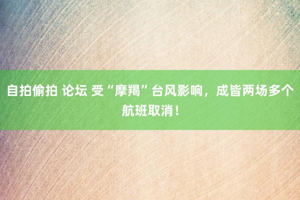 自拍偷拍 论坛 受“摩羯”台风影响，成皆两场多个航班取消！