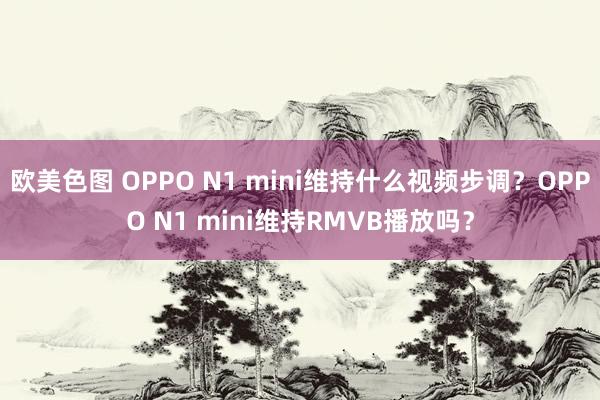 欧美色图 OPPO N1 mini维持什么视频步调？OPPO N1 mini维持RMVB播放吗？