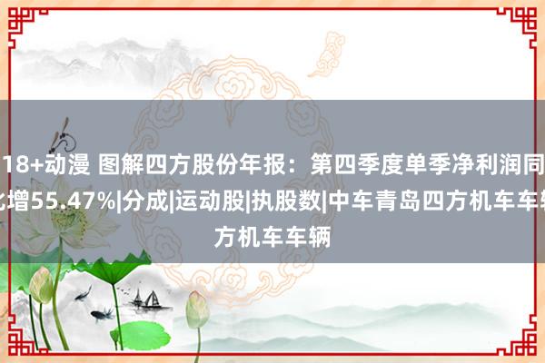 18+动漫 图解四方股份年报：第四季度单季净利润同比增55.47%|分成|运动股|执股数|中车青岛四方机车车辆